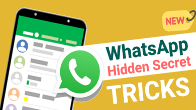 istudyinfo whatsapp tracking