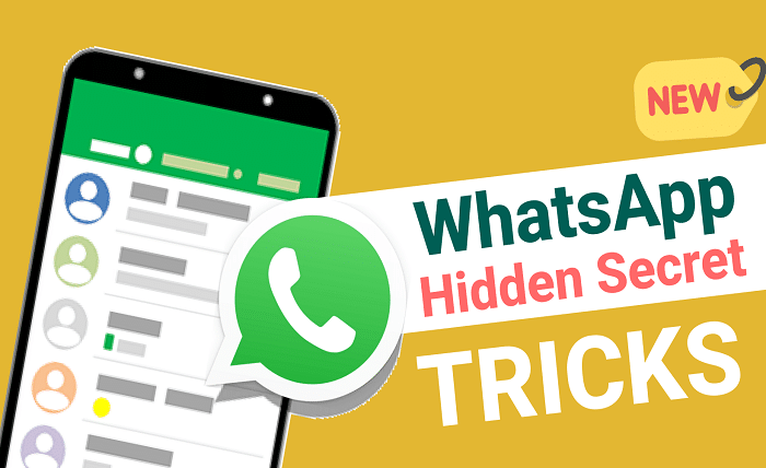 istudyinfo whatsapp tracking